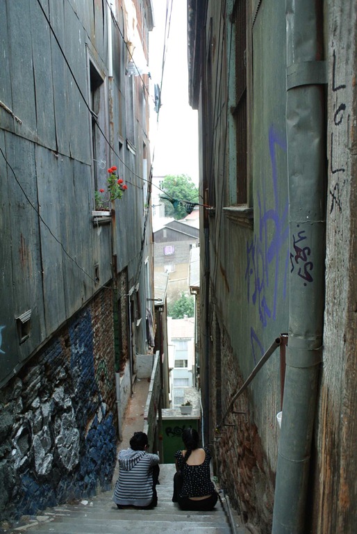DSC_8539 DSC_8539