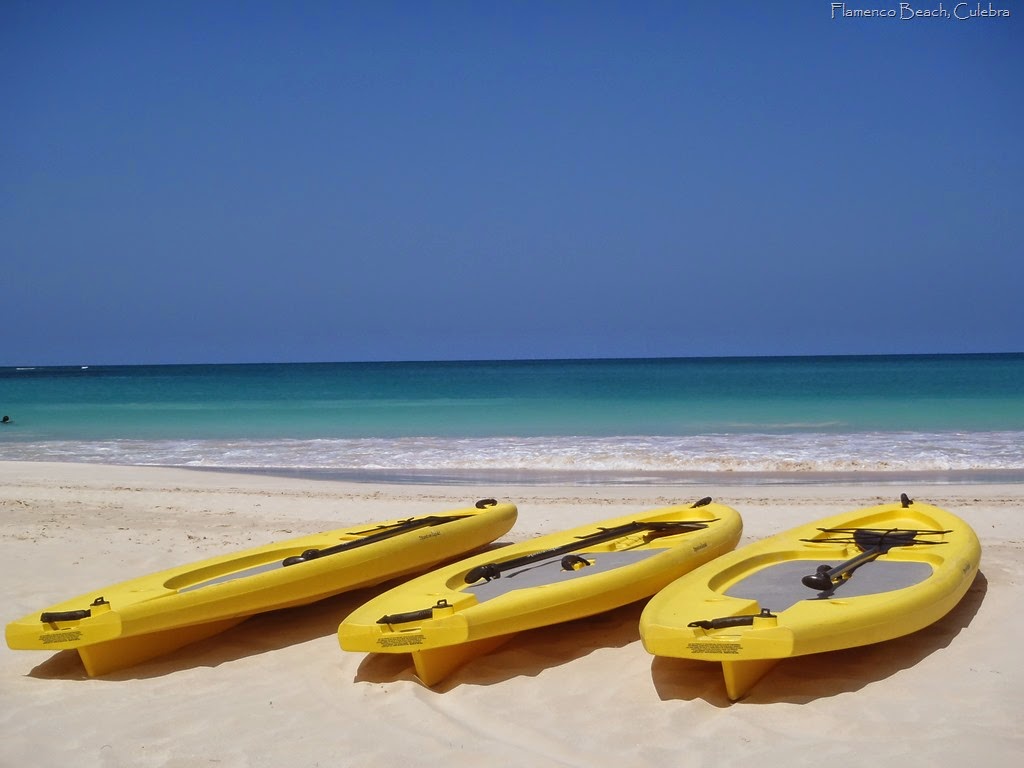 [P3220010%255B4%255D.jpg]