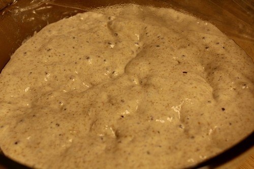 [italian-spelt-bread0125.jpg]