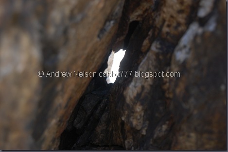 DSC_0020 DSC_0020