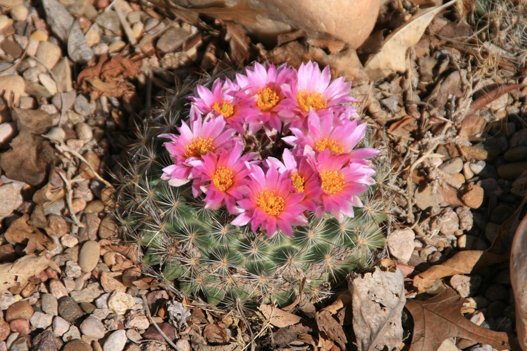 [IMG_6841%255B4%255D.jpg]