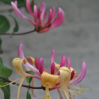 DSC_6633.jpg