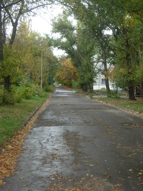 [DSCN06793.jpg]