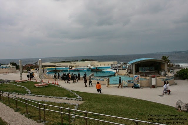 IMG_3087 IMG_3087