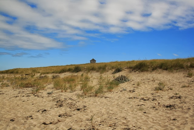 Cape Cod, Promised Land, Skyline 2013 013