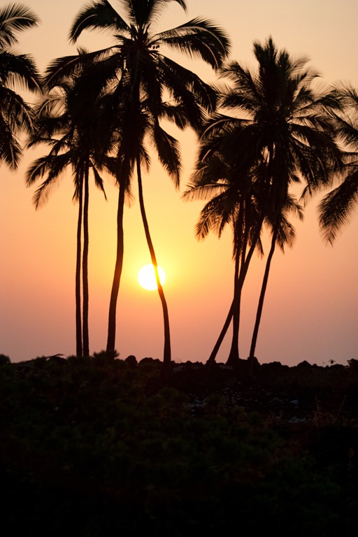 [20121216-IMG_46943.jpg]