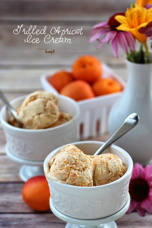 [1-dd-Apricot-Ice-Cream-11-600x900%255B5%255D.jpg]