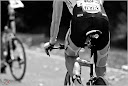 Roth_2010_252.jpg