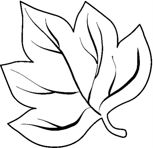 Moldes de hojas para colorear - Imagui