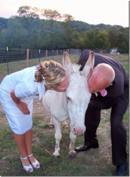 awkward-couples-people-11