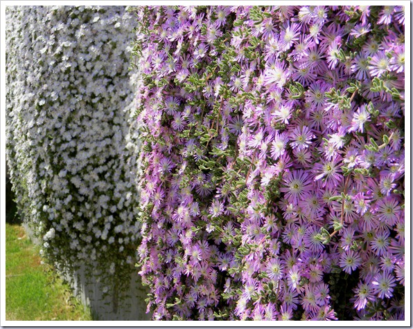 DSCN3056 DSCN3056