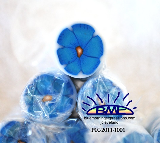 [PCC-2011-1001%255B2%255D.jpg]
