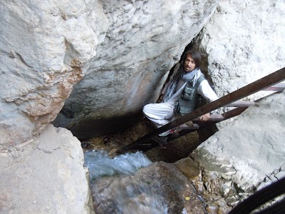 DSCN3976.jpg