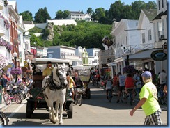 3295 Michigan Mackinac Island 3295 Michigan Mackinac Island