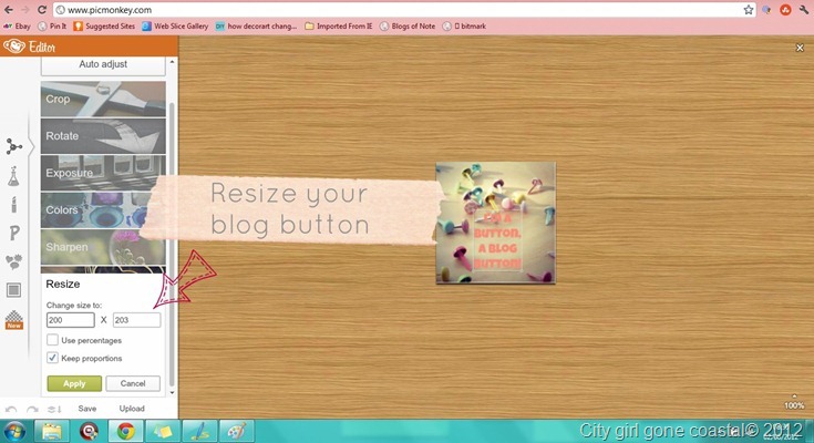 resize your blog button