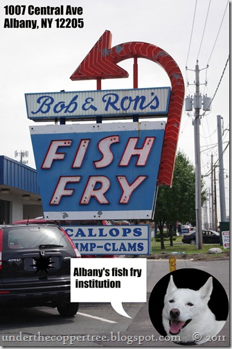 bobronff bobronff