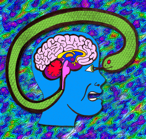 REPTILIANO CEREBRO