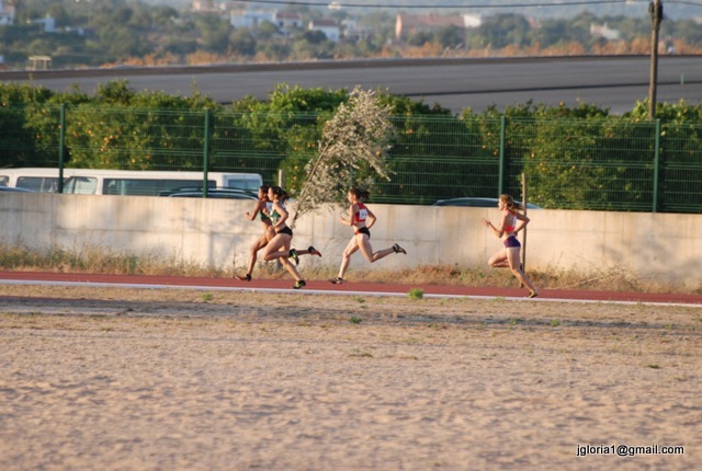DSC_0535.JPG