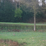 photoIMG_2109.jpg
