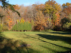 DSCN0470.JPG