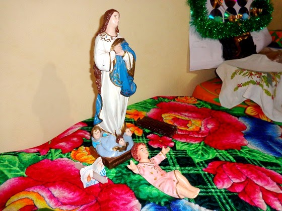 DSC04203 DSC04203