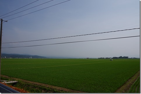IMGP4085 IMGP4085