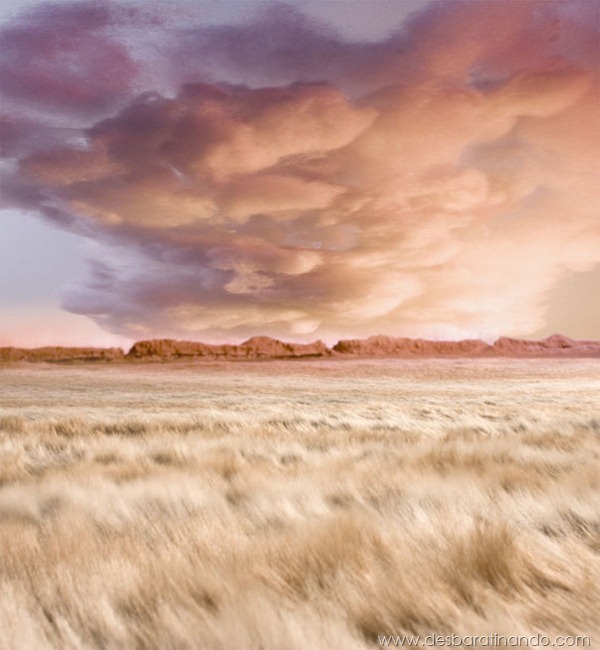 diorama-strange-worlds-fields-matthew-albanese-1 diorama-strange-worlds-fields-matthew-albanese-1