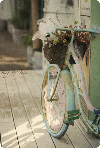 by imagesby Claire by imagesby Claire