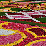 Brussels Flower Carpet 2010