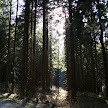 DSC00311.JPG