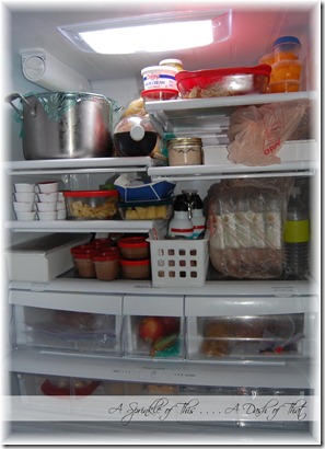 refrigerator  before {A Sprinkle of This . . . . A Dash of That}