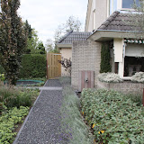 moderne tuin