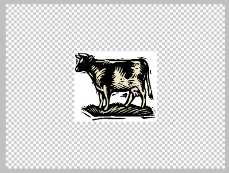 Edit Pasted Graphic Indesign