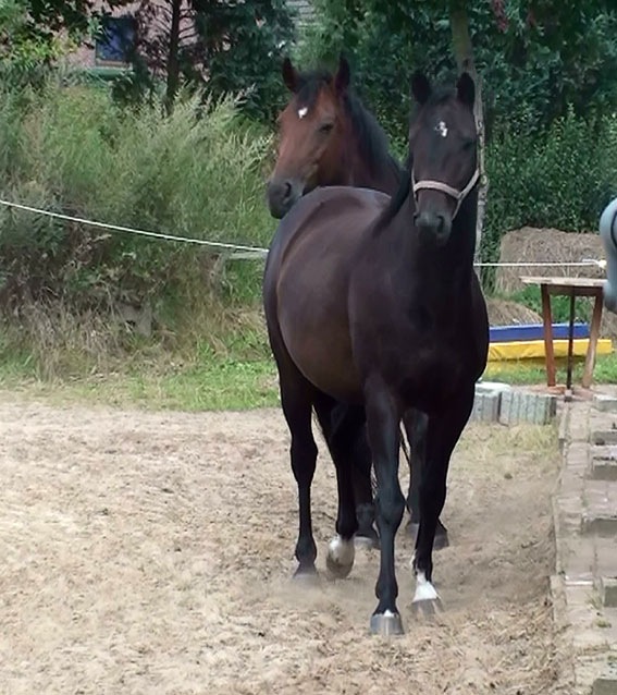 [20120905134947%25286%2529%255B2%255D.jpg]