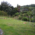 Vittorio Veneto  31 luglio 2011