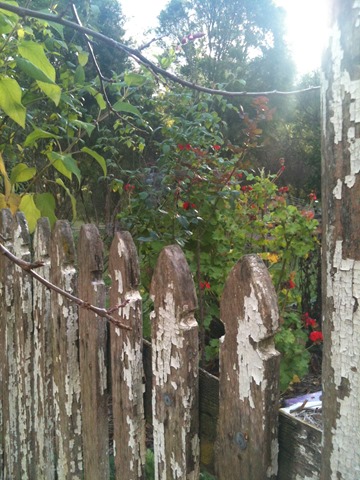 [IMG_9986%255B4%255D.jpg]
