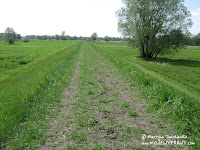 dsc00943.jpg