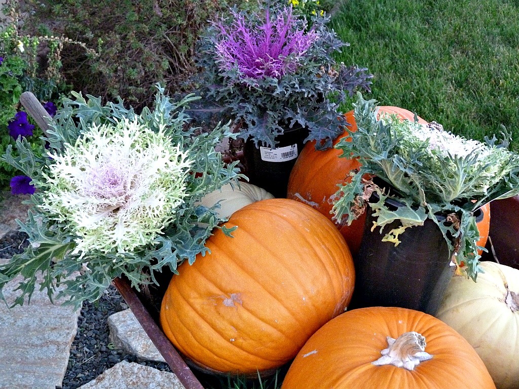 [autumn17%255B3%255D.jpg]