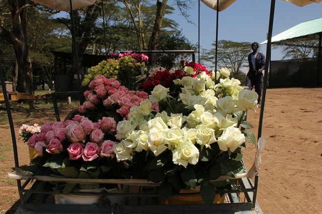[Kenya%2520707%255B2%255D.jpg]