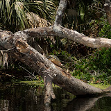 DSCF3756.jpg