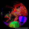 dragon (11).JPG