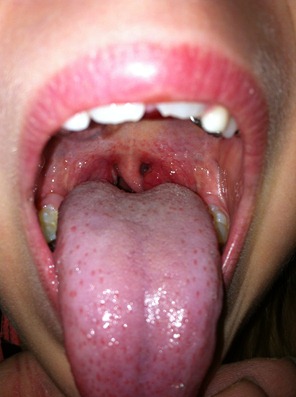 IMG_1768 IMG_1768