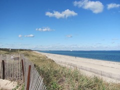 11.2011 Beach fence3