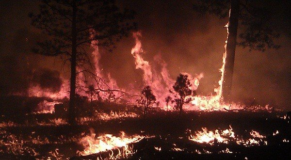 A massive blaze scorches Gila National Forest in southwestern New Mexico, 29 May 2012. It's been deemed the largest fire in New Mexico history. According to NASA, the fire began in two separate incidents -- both sparked by lightning. The Baldy fire started 9 May 2012; the Whitewater fire, about 10 miles northwest, started 16 May 2012. The two fires merged 23 May 2012. U.S. Forest Service / Associated Press