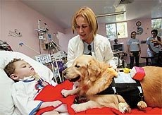 [Tratamento%2520Hospitalar%255B3%255D.jpg]