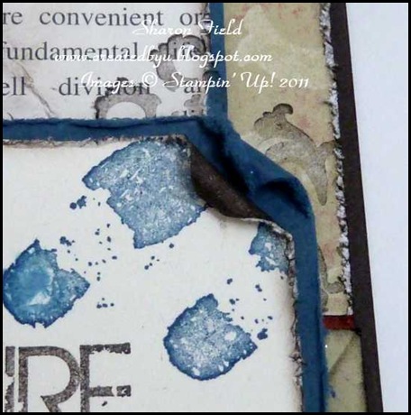 photo 4 rolled corners and tip