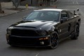 Shelby-Caroll-92