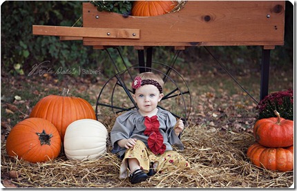 Fall Picture