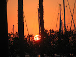 IMG_8447.JPG