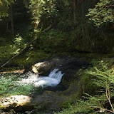 IMG_8824.jpg